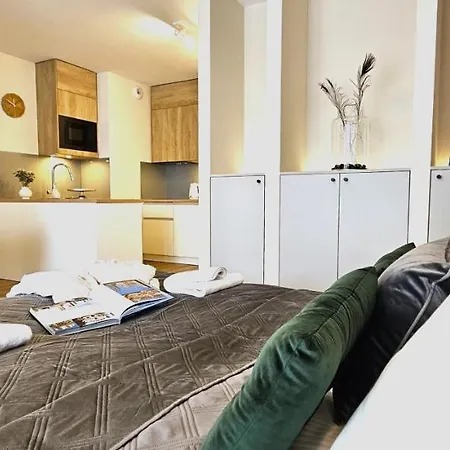 Vip Zakopianskie شقة زاكوباني